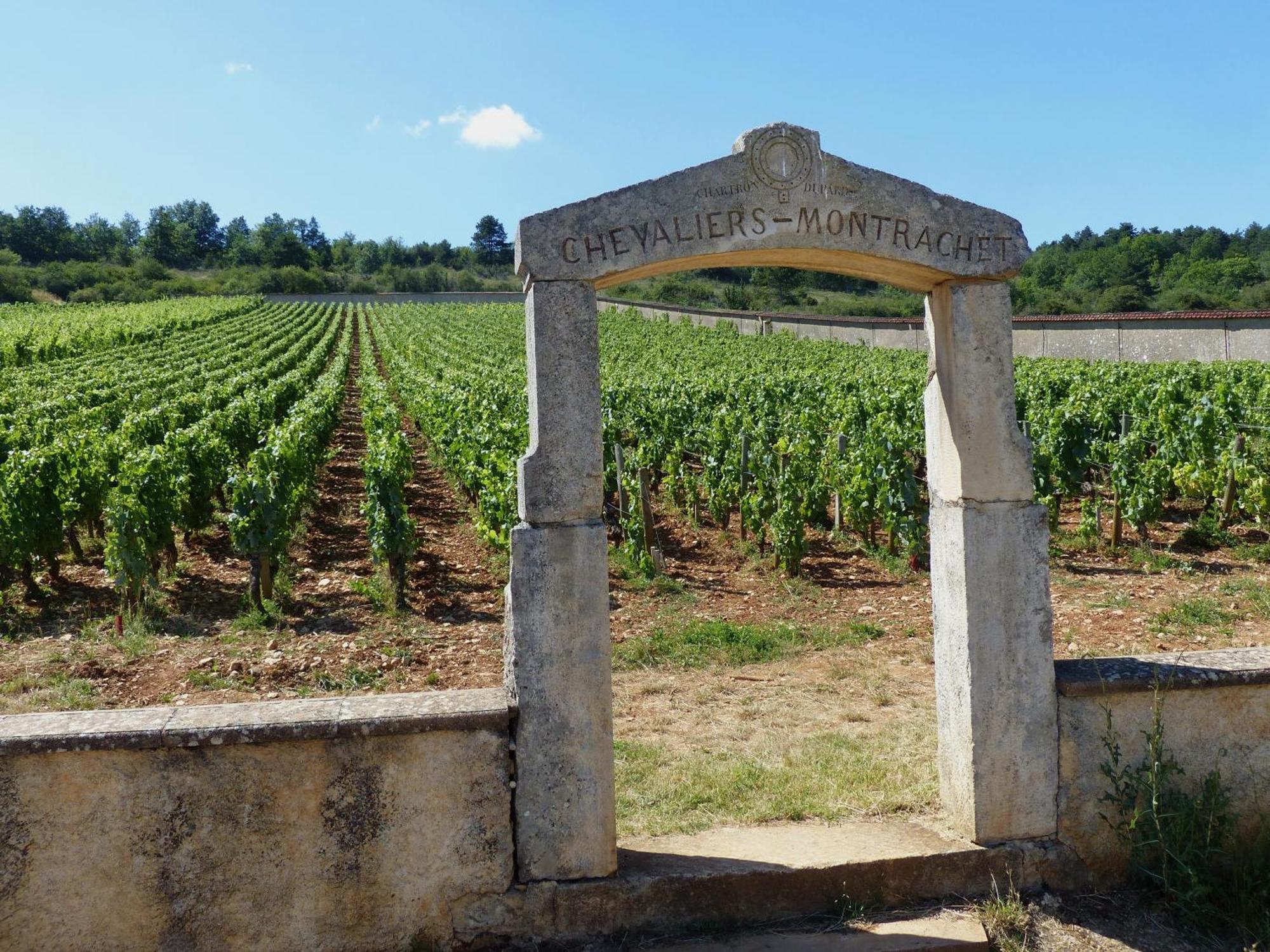 The Mews Διαμέρισμα Puligny-Montrachet Εξωτερικό φωτογραφία